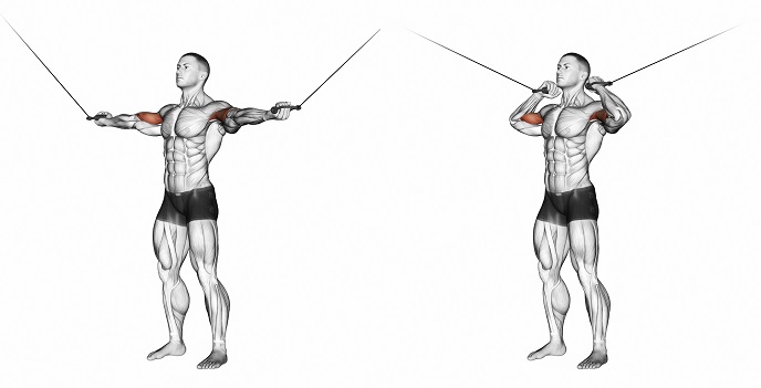 bicep cable curl